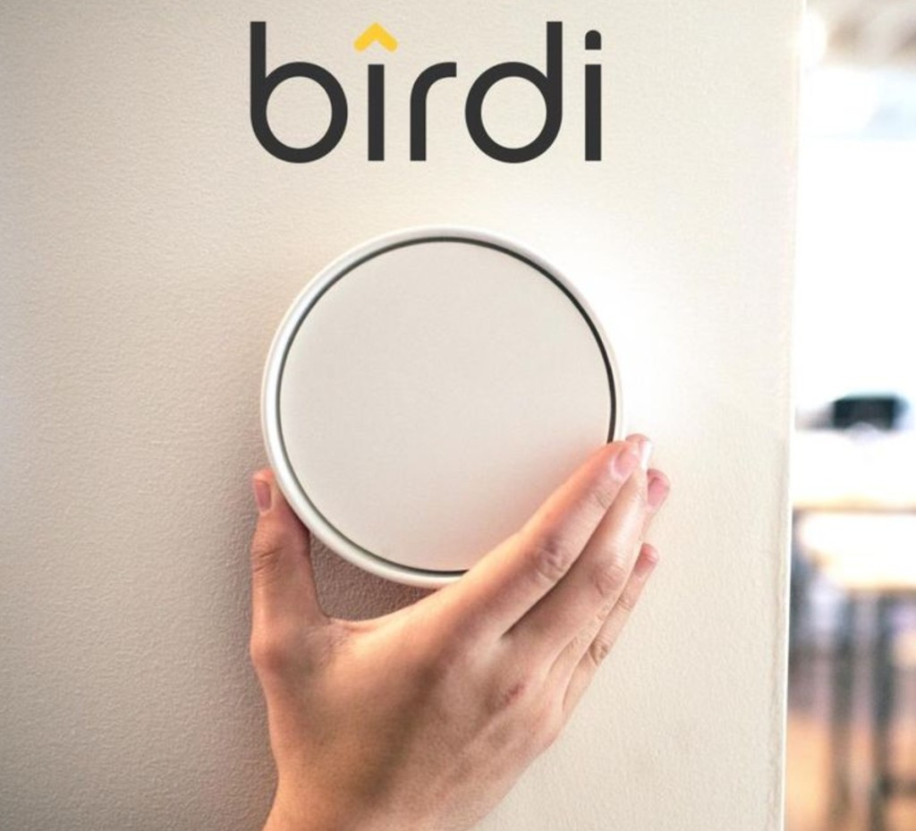 birdi