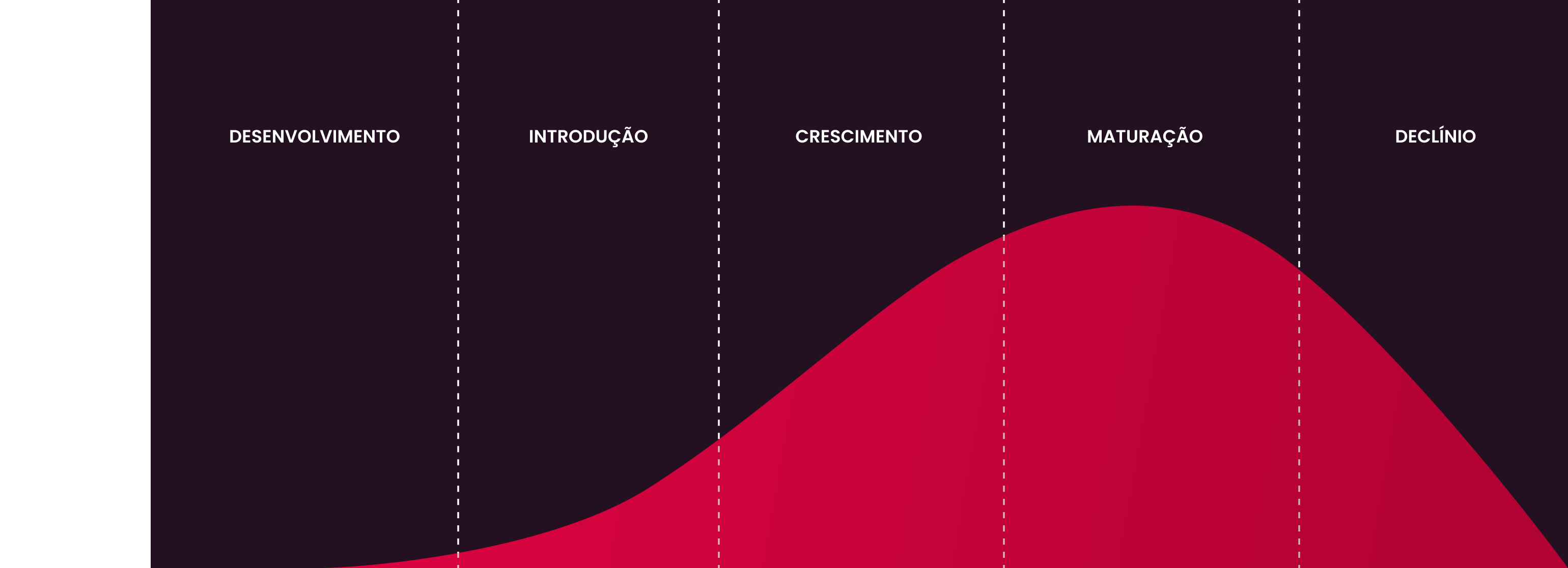 Ciclo De Vida Do Produto Exemplo